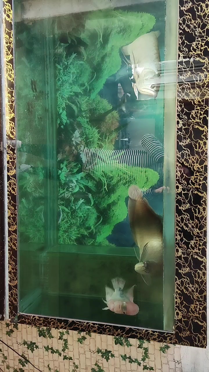 分享视频