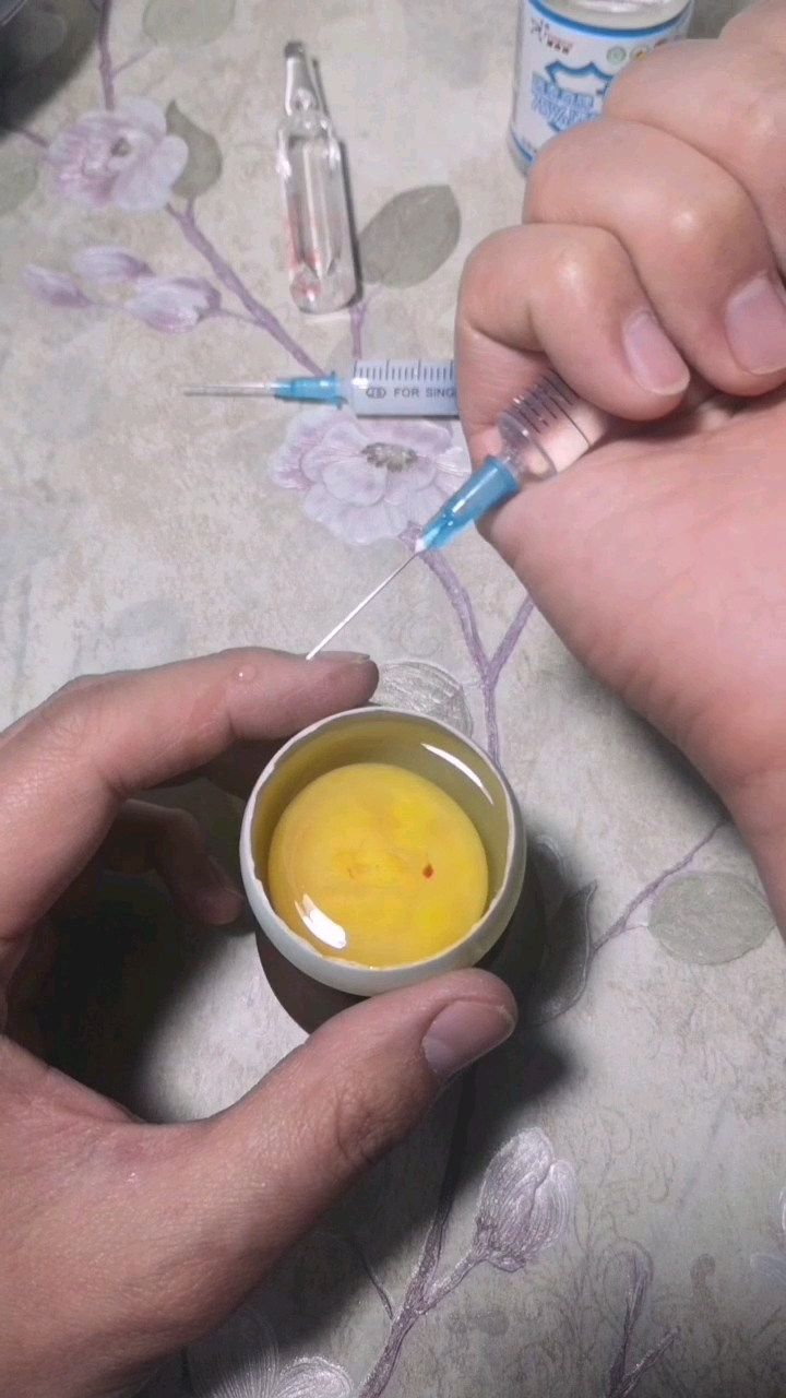 鸭蛋壳里孵化小鸡第三天