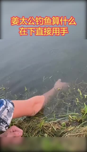 #奇趣#姜太公钓鱼算什么,在下直接用手