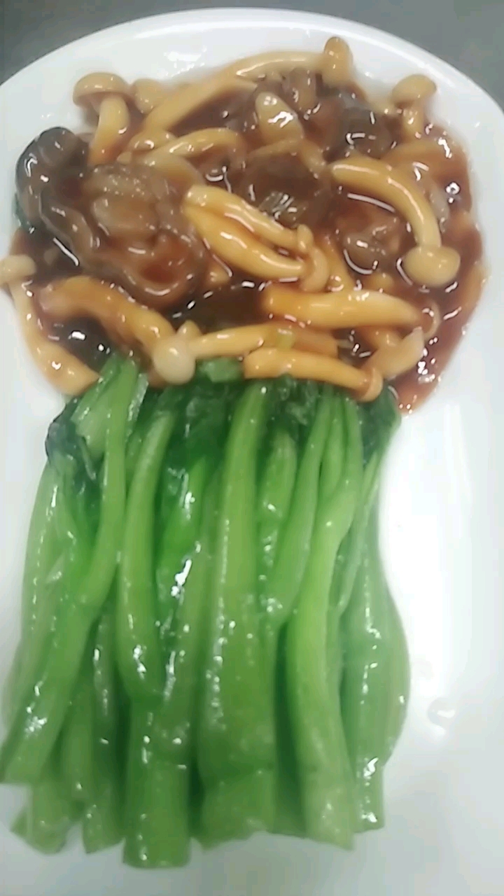 双菇扣菜心。好吃,营养美味,又绿色。