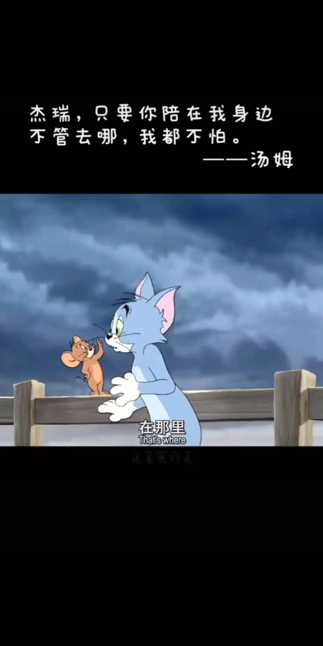 #猫和老鼠#好像爱情……