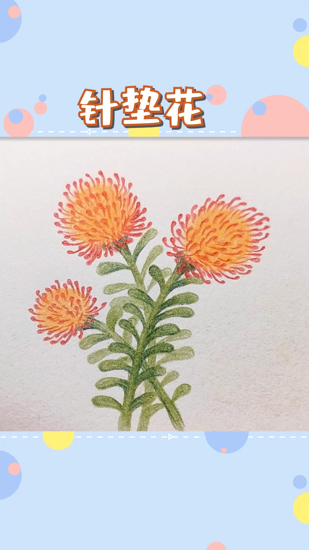 #简笔画#今天又是涨姿势的一天,原来这个花叫针垫花!