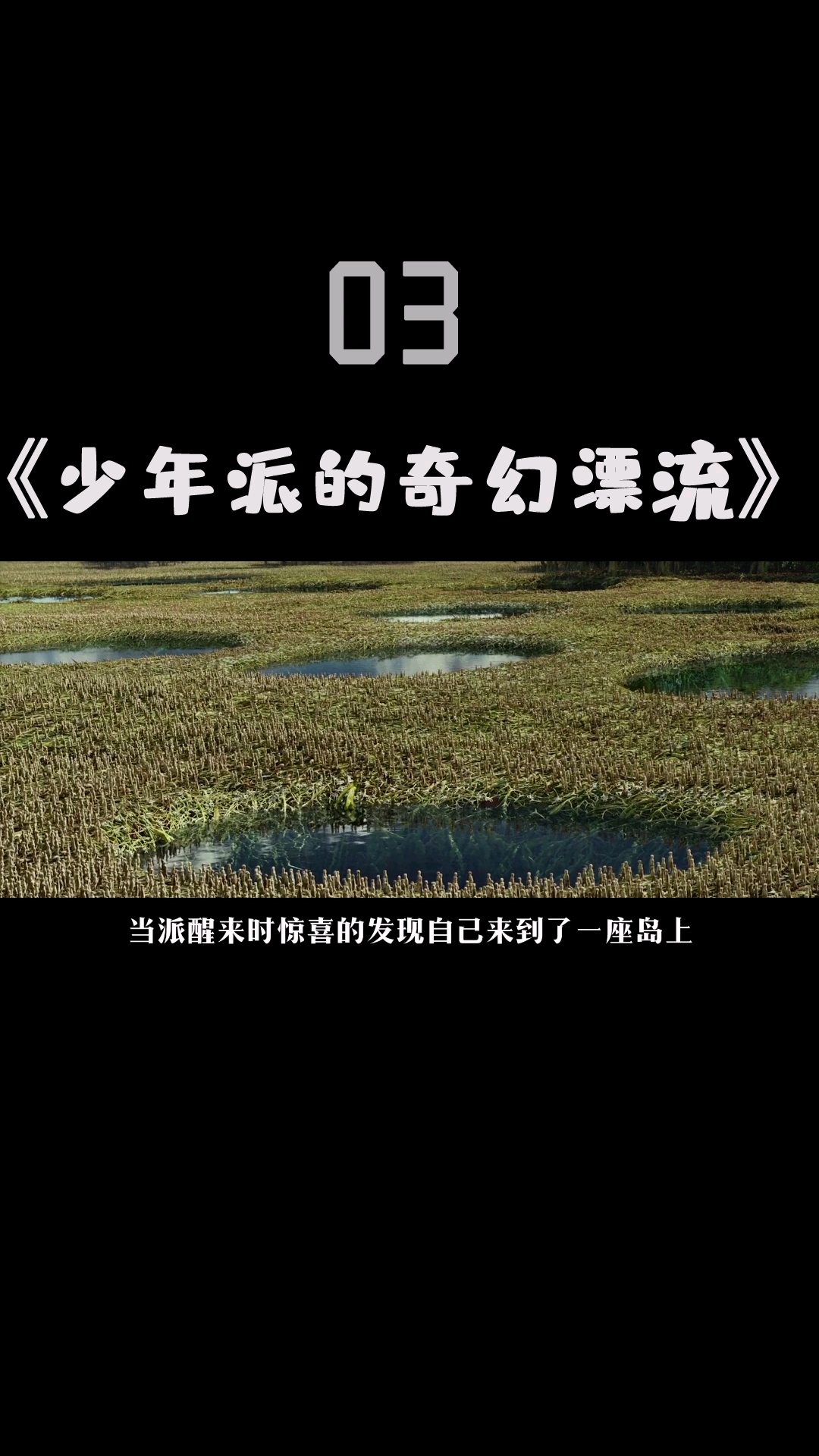 #好看电影#海上遇难,男孩和老虎在海上漂流227天