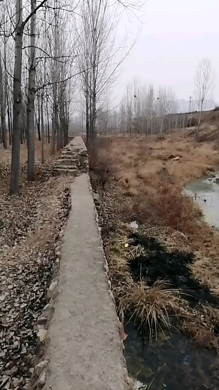 雷村小河螃蟹麻虾乌龟非常多