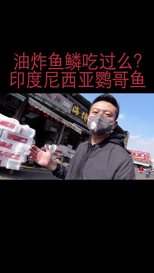 来自印度尼西亚的黄衣鹦哥鱼。鳞片竟然也是一道风味,给大家分享了。