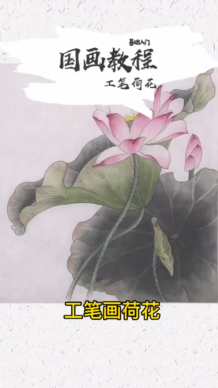 工笔画荷花?我来教你
