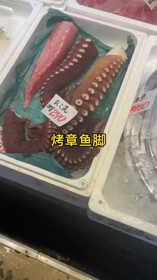 大章鱼足