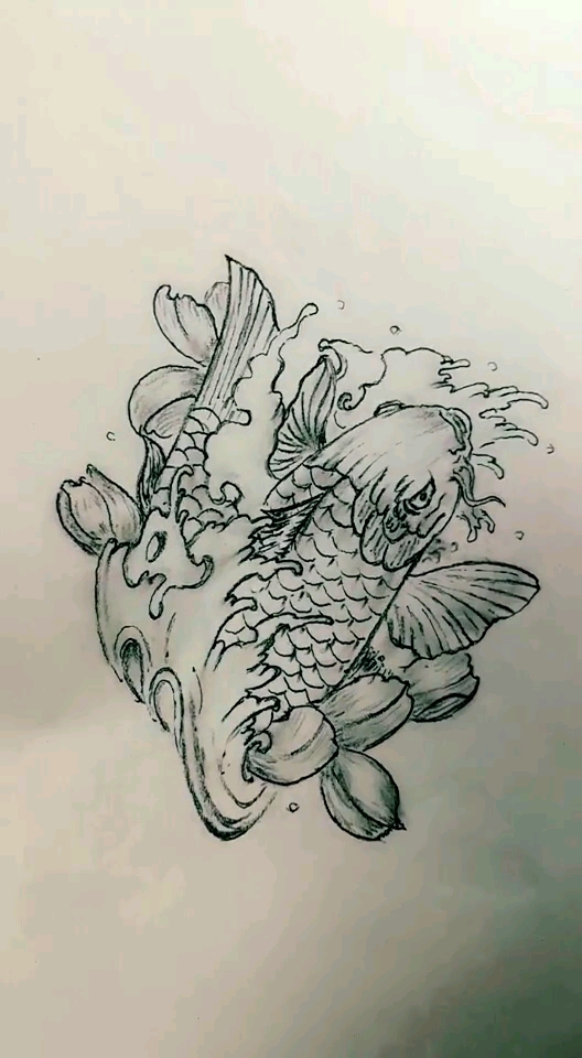 鲫鱼嬉水