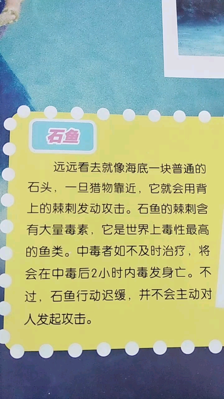 分享视频