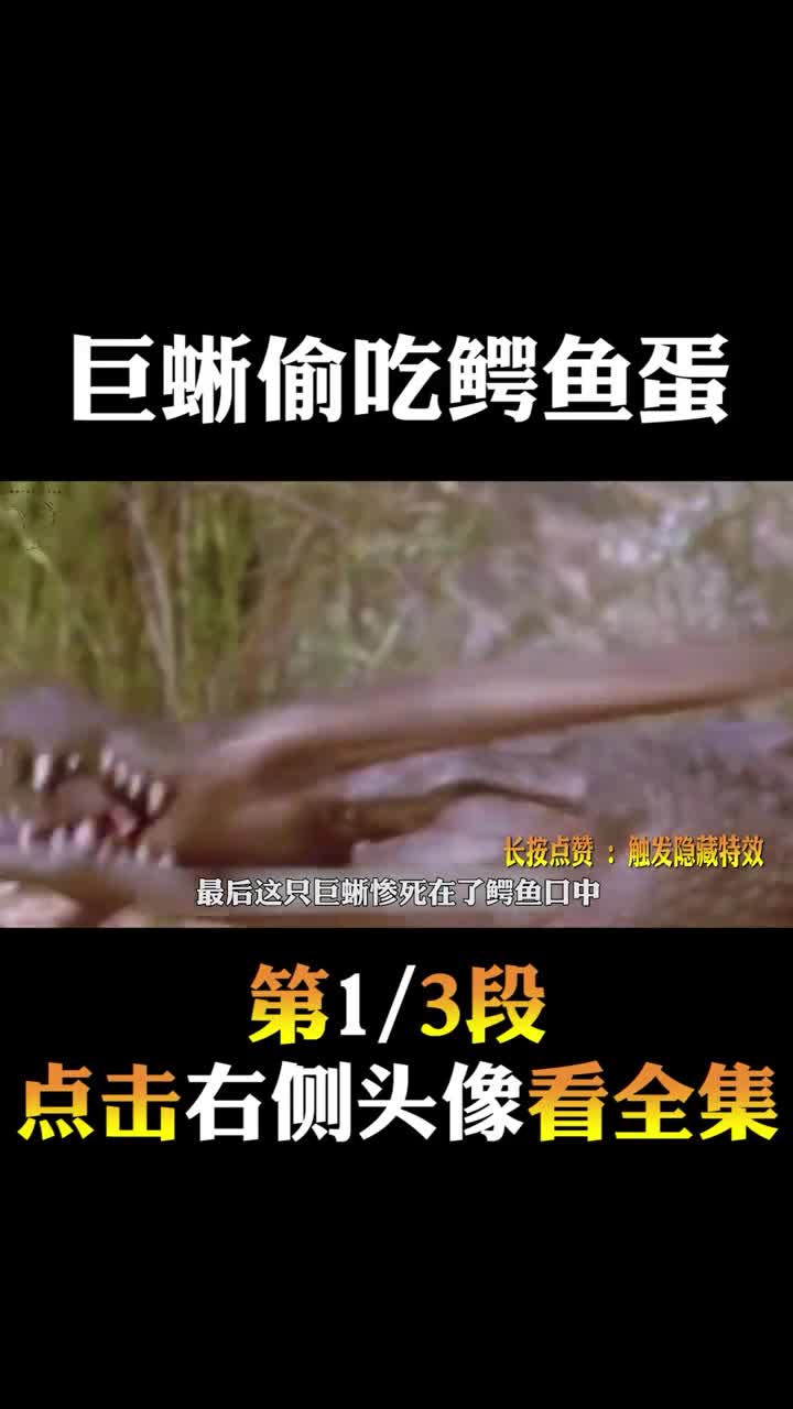 #动物世界#巨蜥偷吃鳄鱼蛋1