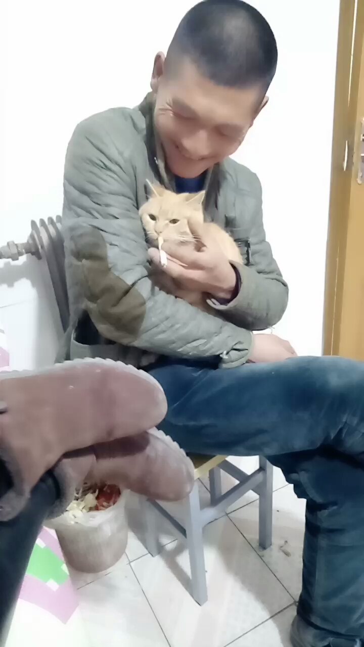 会抽烟的小猫!