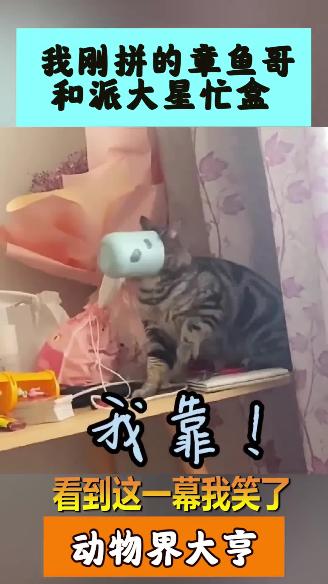 我要上热门我刚拼的章鱼哥和派大星,啊啊啊啊啊,我的杯子