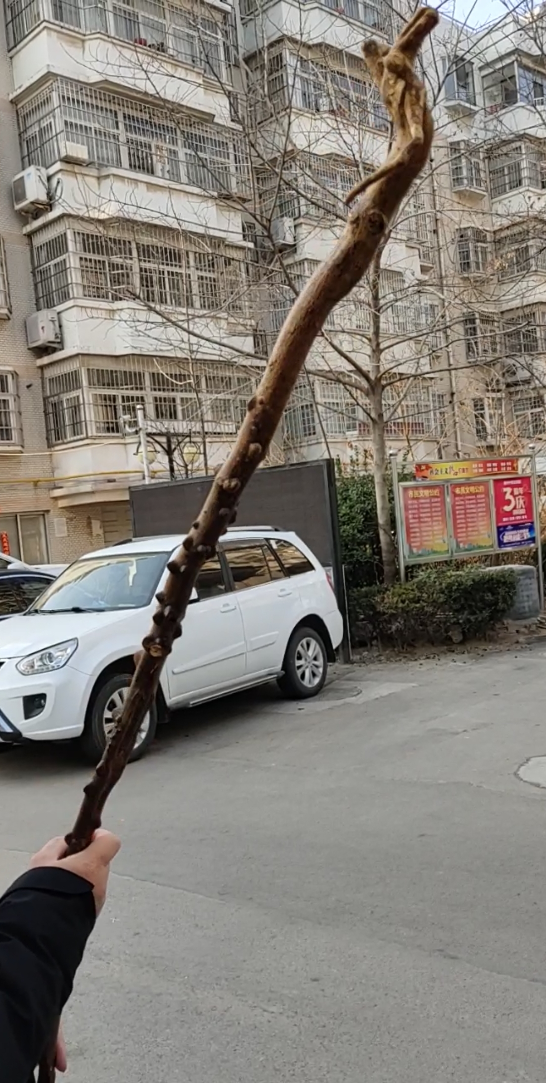 这拐棍儿,盘的真不错!