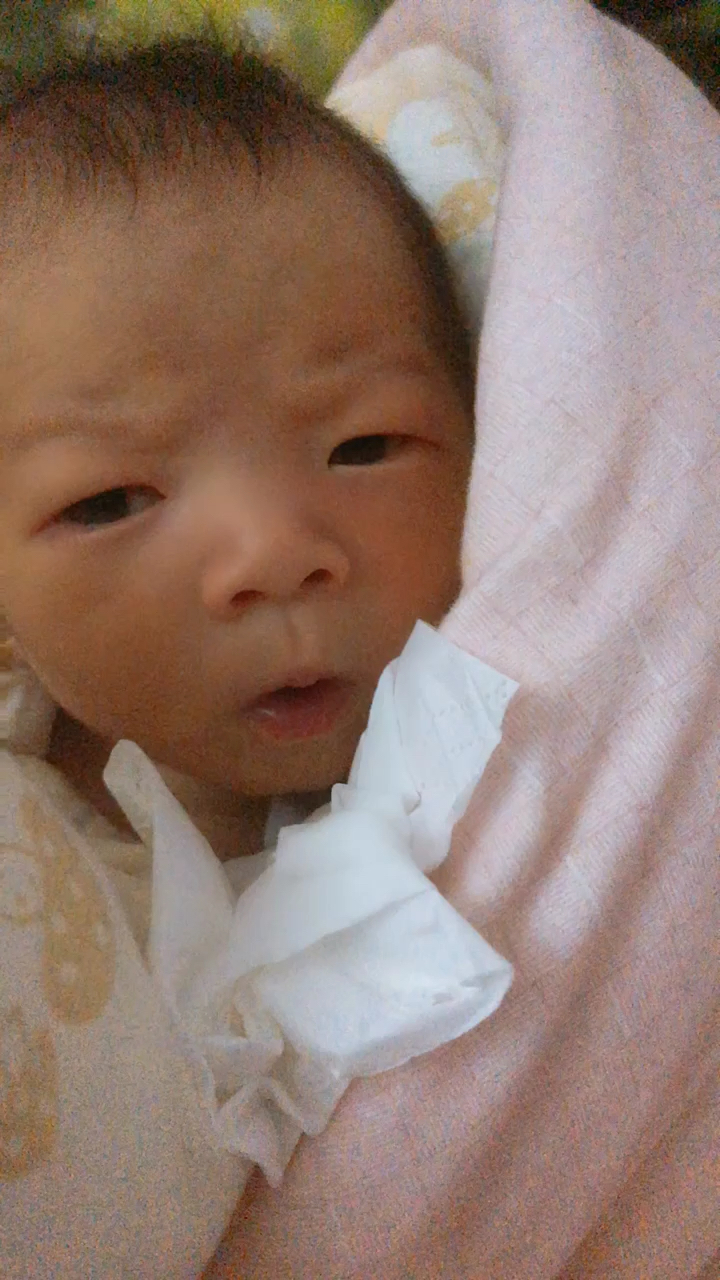 拉粑粑的专属表情包