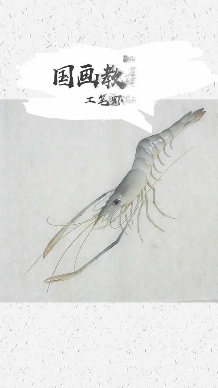 工笔虾的画法
