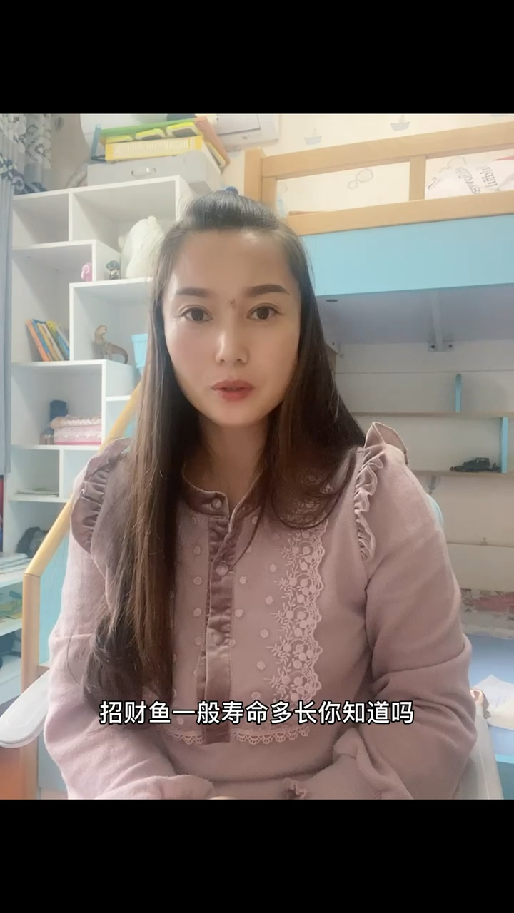 招财鱼寿命一般是多长?