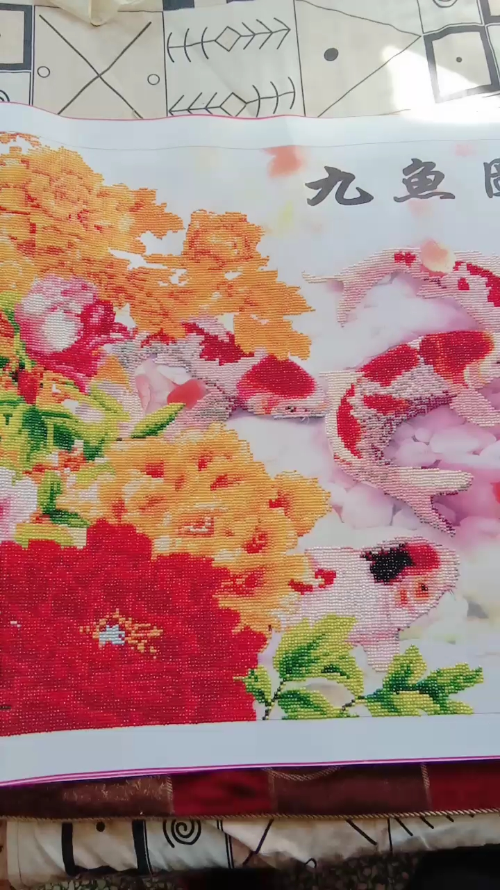 看看我的九鱼图