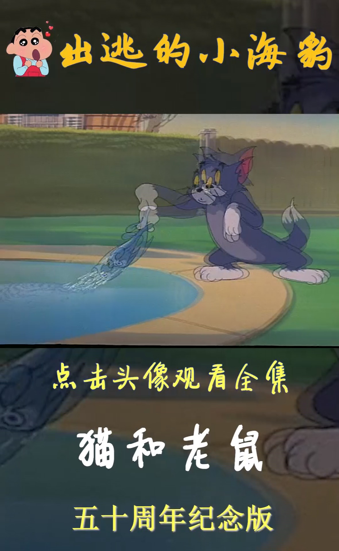 猫和老鼠动漫剪辑 #猫和老鼠 #动漫 #回忆童年经典动画片