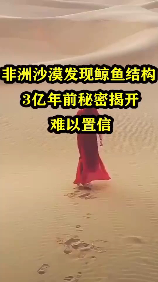 非洲沙漠发现鲸鱼结构三亿年前秘密揭开难以置信