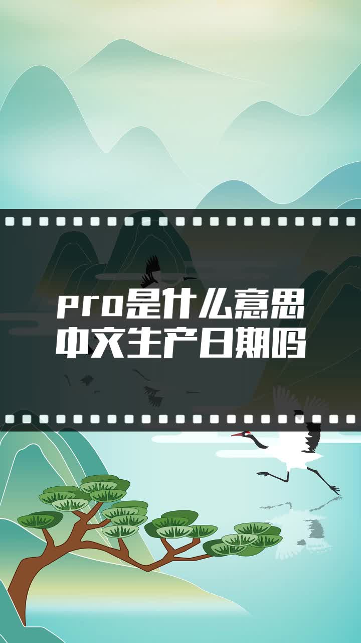 pro是什么意思中文生产日期吗