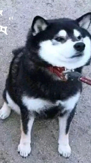 搞笑闺蜜头像#第二弹#