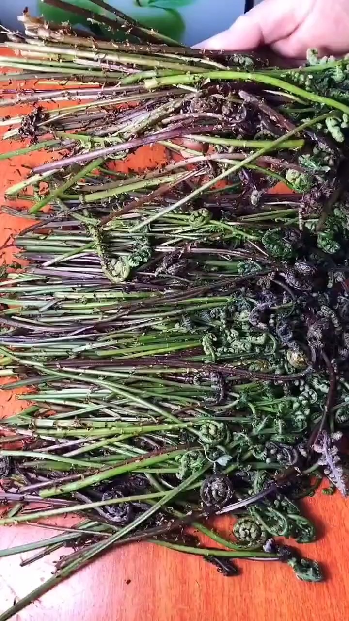 #自制美食#东北山野菜猴腿