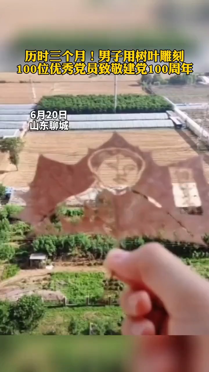 太有心了!男子历时三个月,用树叶雕刻100位优秀党员,致敬建党100周年!