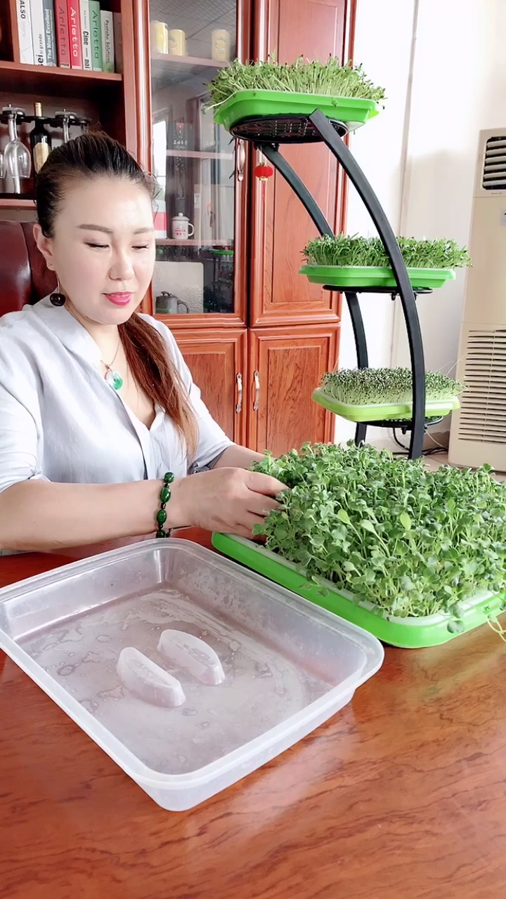 夏季凉拌萝卜苗最般配