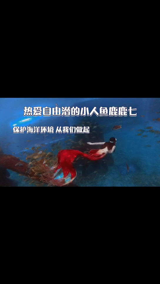 #游泳#嘿我是鹿鹿七,你有没有想做但一直没有勇气去做的事。沉入海底与鱼共舞,自由潜我来啦