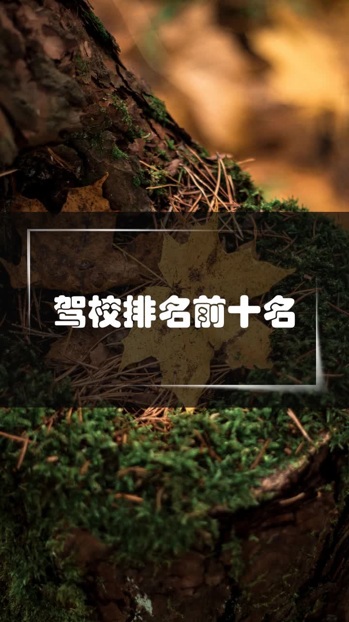 驾校排名前十名