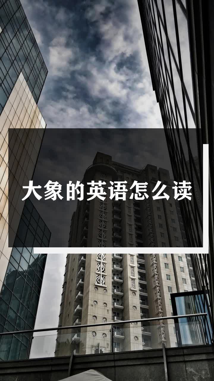 大象的英语怎么读
