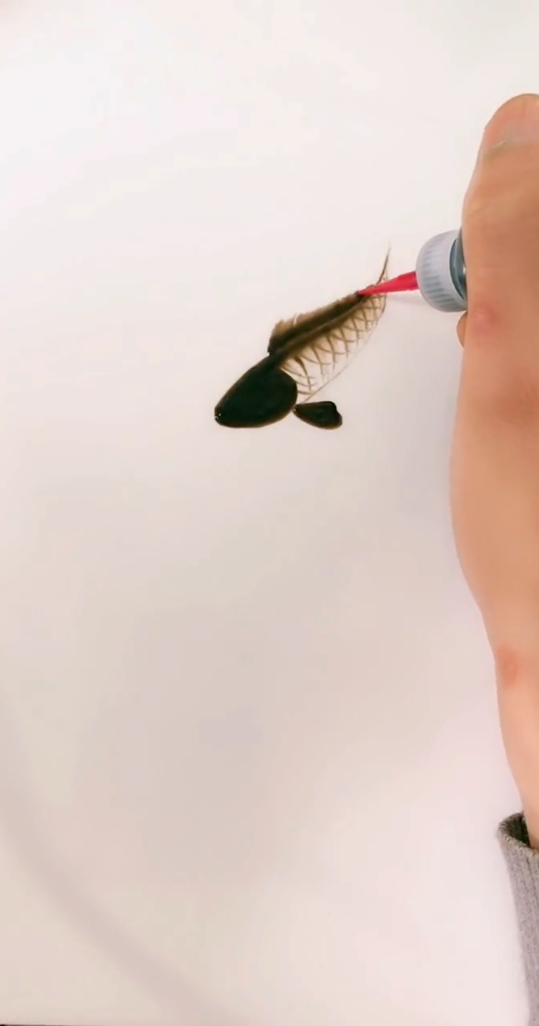 #在家云旅游#年年有鱼