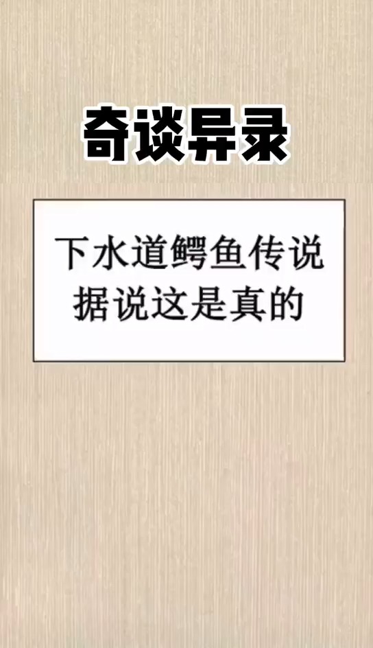 一个冷知识