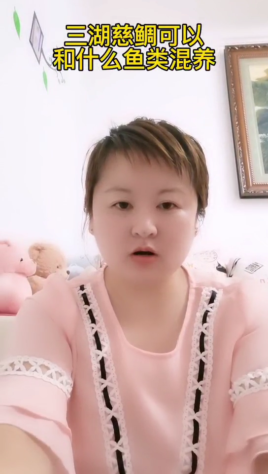 三湖慈鲷可以和什么鱼混养
