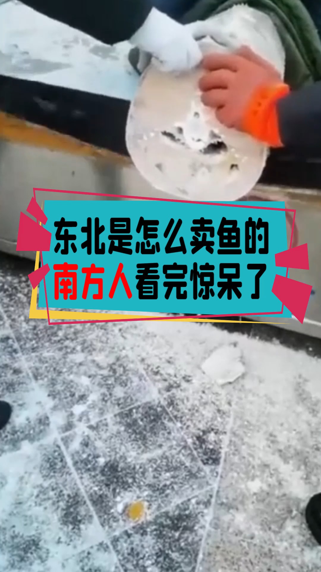 #奇闻趣事抢先看#在东北卖鱼竟然是木匠活!南方人看完惊呆了!想都不敢想