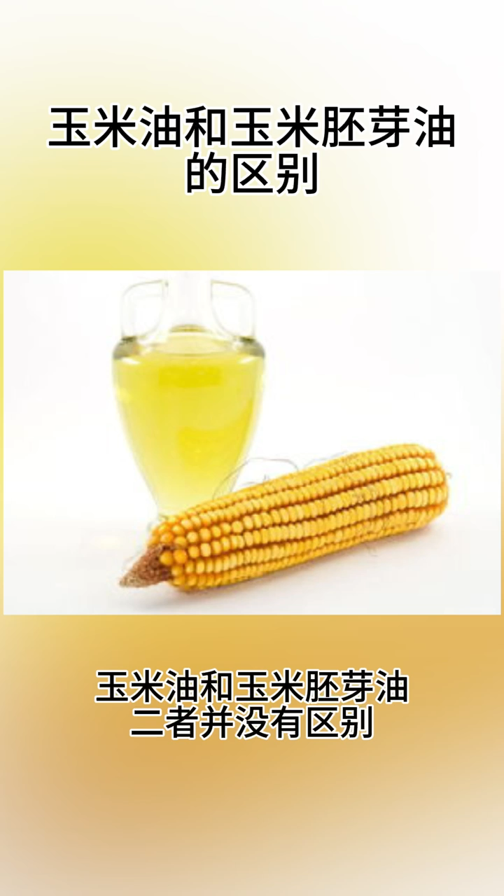玉米胚芽油和玉米油的区别