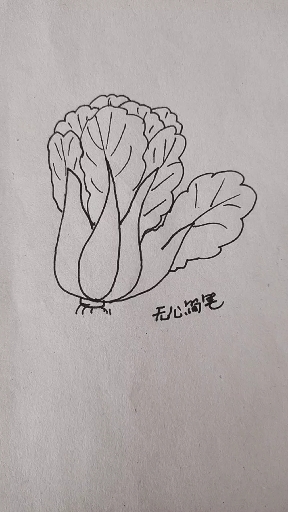 #无心之简笔画#白菜“百菜”简笔画