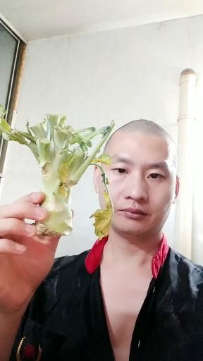 切花菜根摆盘,一看都会简单实用