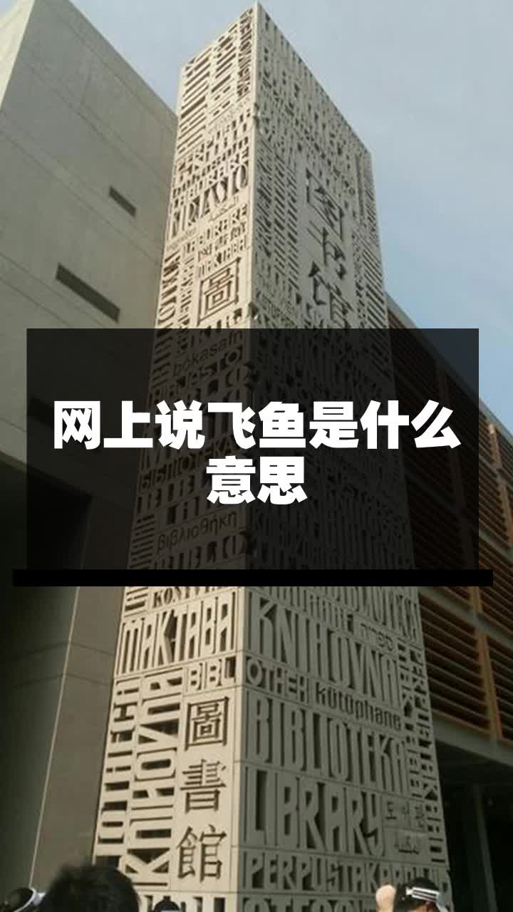 网上说飞鱼是什么意思