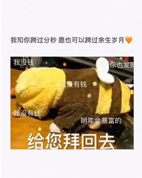 转眼2019就剩二十多天了对2020说你好#表情包,#文字,#情感文字