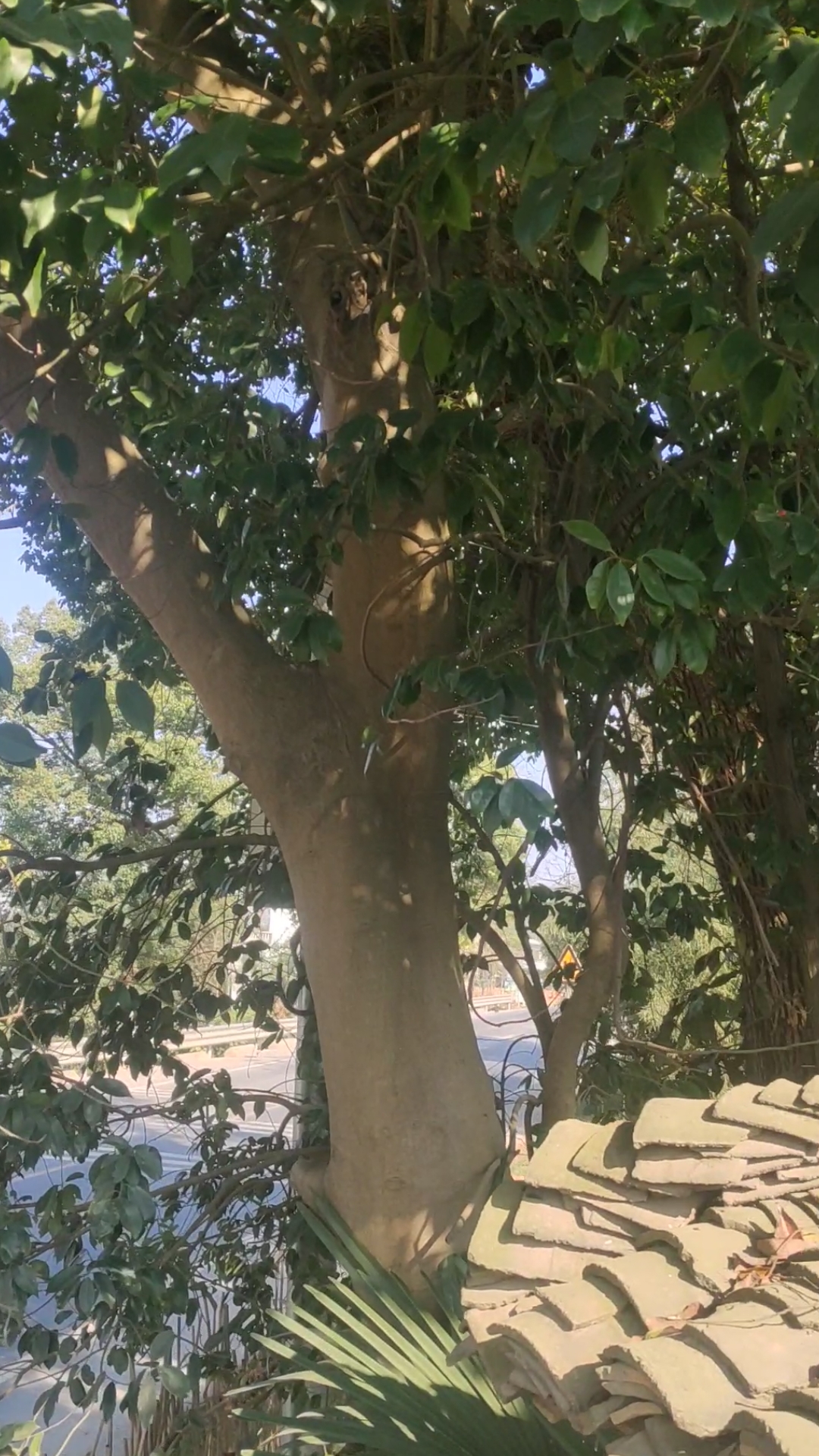 三十多年了,没一个能说出你名字的 