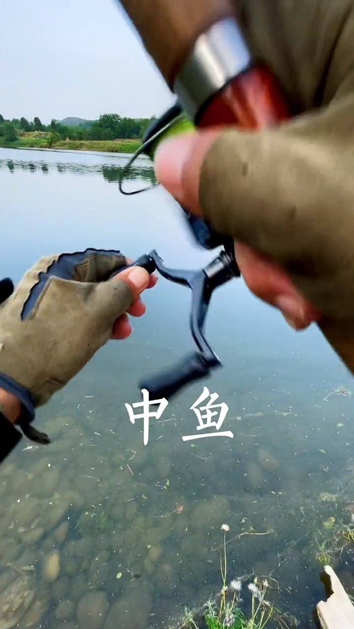 #户外抓鱼#铁板操作手法 #钓鱼 #野钓  #红尾 #鲶鱼 探钓绵阳路亚标点