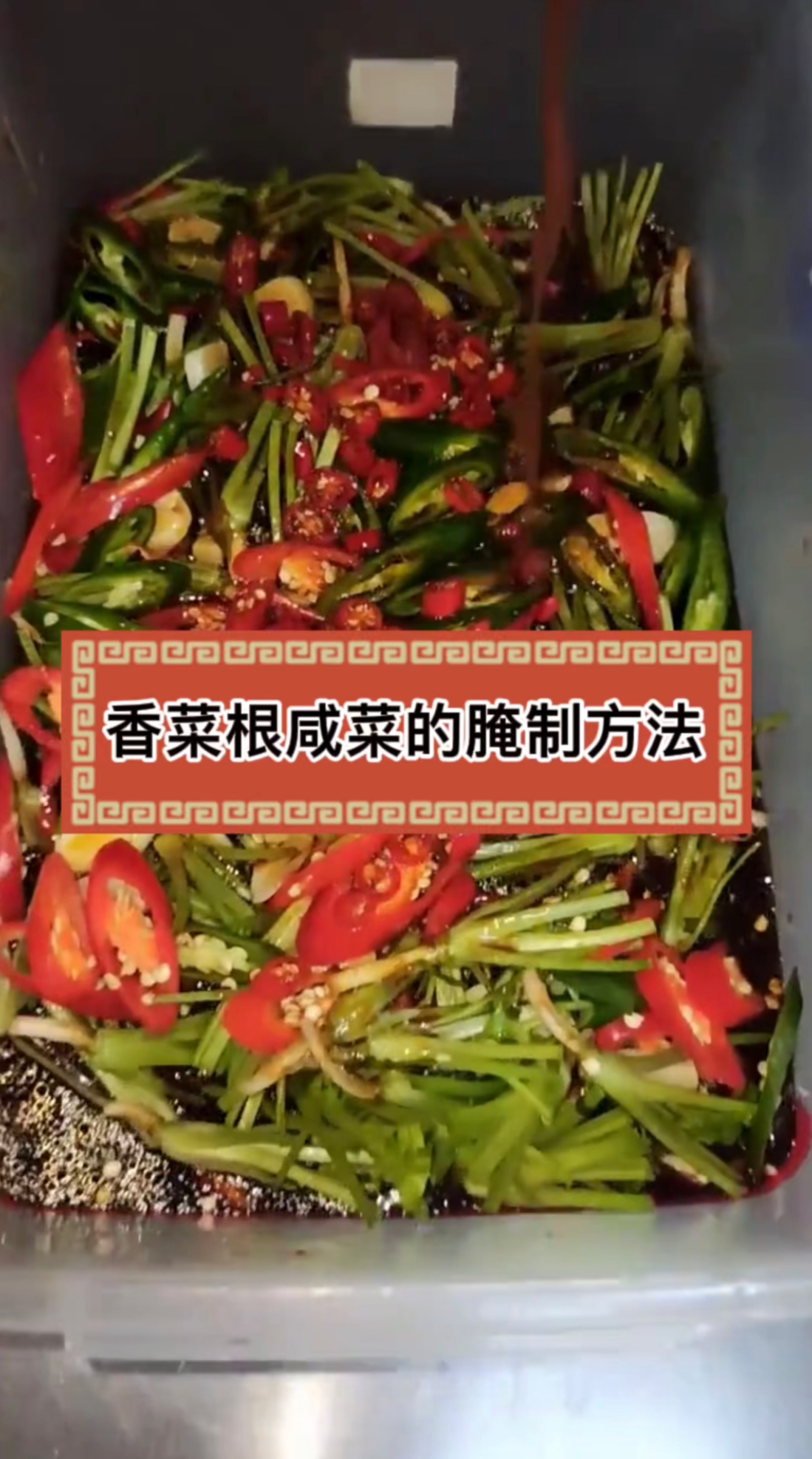 香菜根咸菜的腌制方法