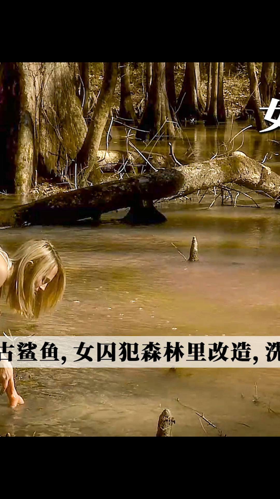 #好看电影#女囚犯外出改造,却意外遭遇鲨鱼袭击
