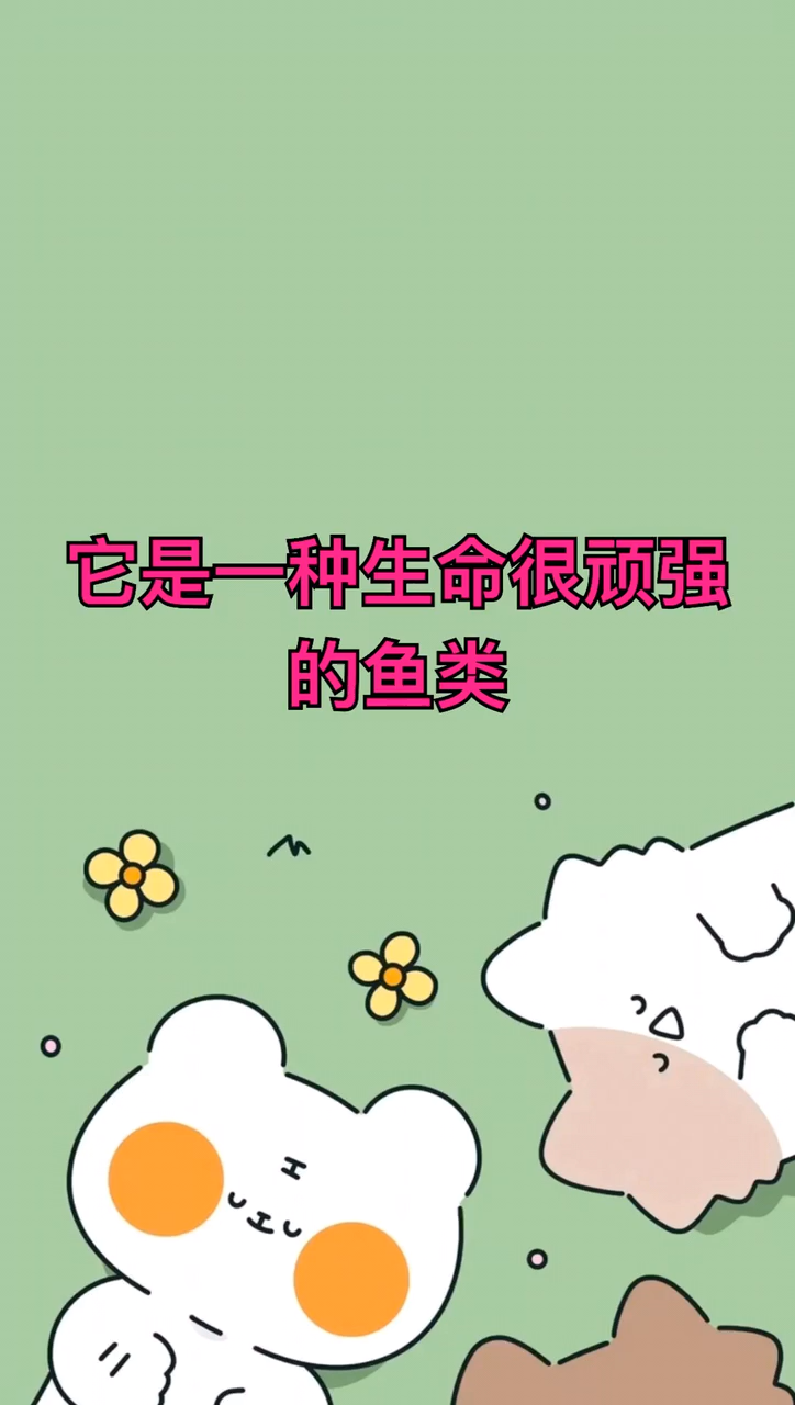 鲶鱼吃屎是真的吗