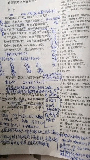 #王者荣耀#
