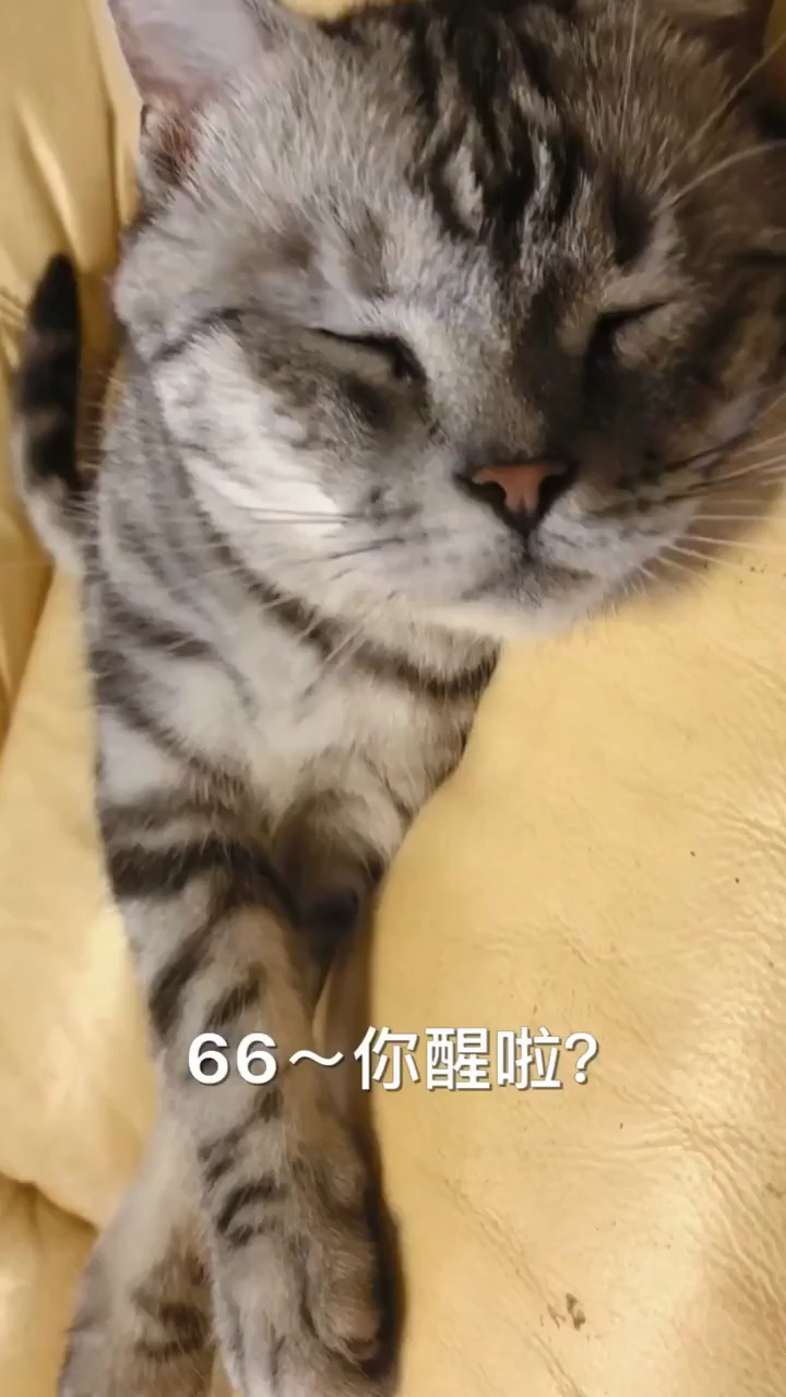 绝味 卤菜_久久 鸭脖 条件__熟食 品牌_