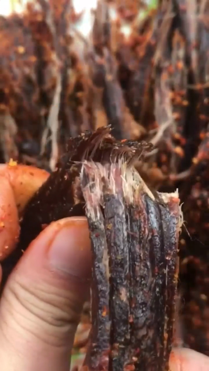 牛肉干,还是数内蒙古的最好吃,地道