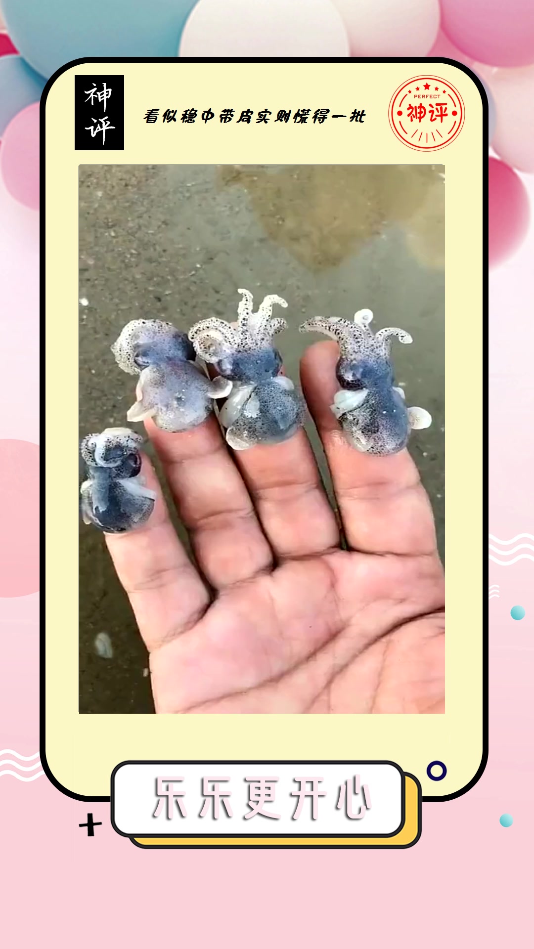 #搞笑#八爪鱼和鱿鱼也能生宝宝了