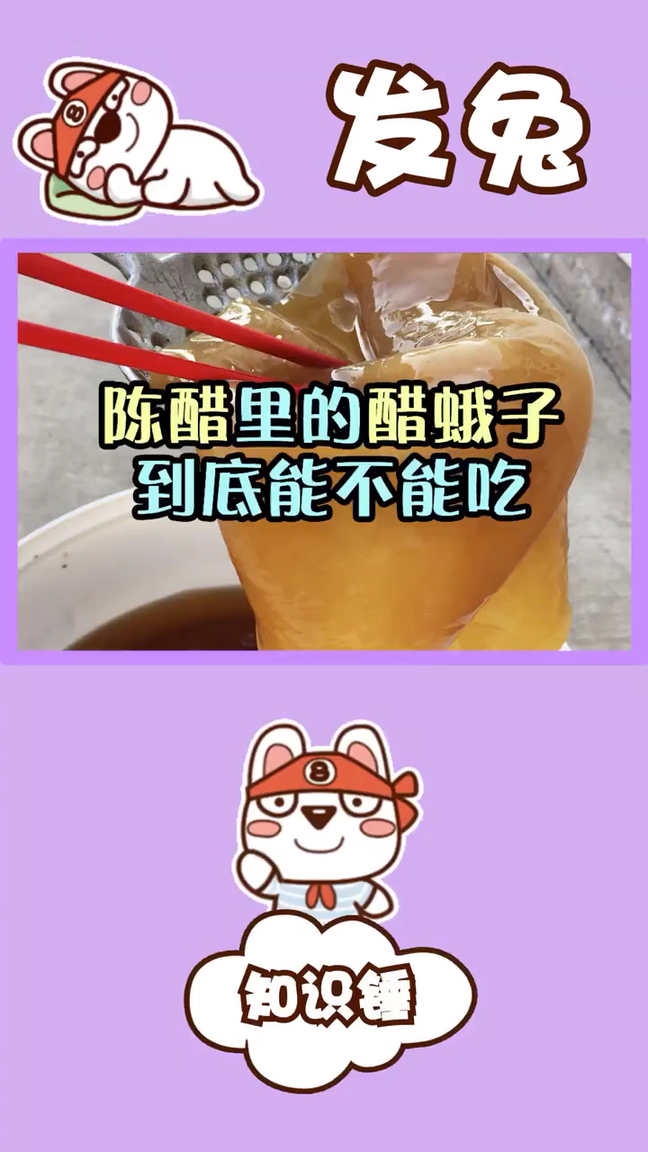 陈醋里的醋蛾子到底能不能吃。知识